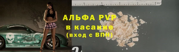индика Рославль