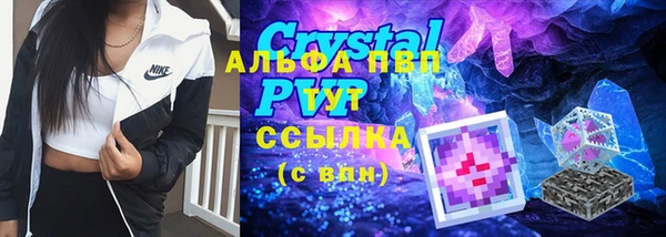 индика Рославль