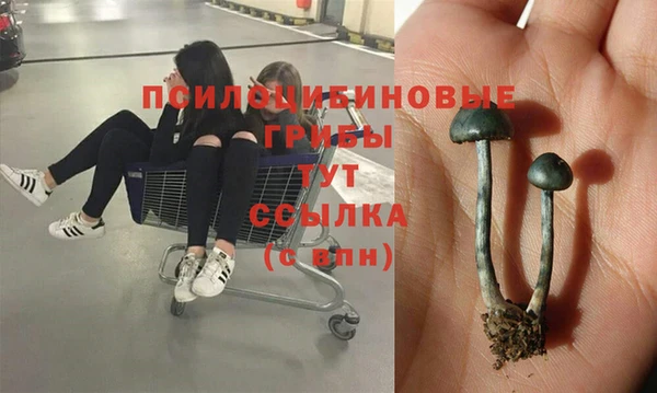 каннабис Алексин