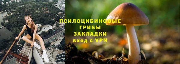 Альфа ПВП Ростов