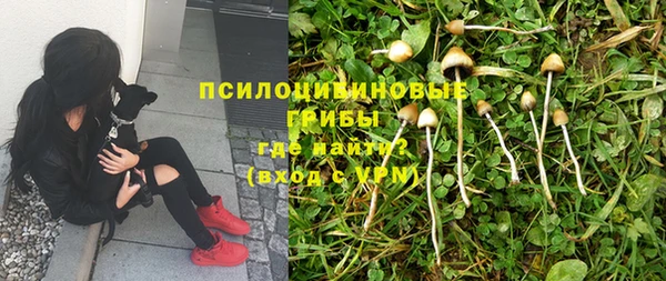 трава Алексеевка