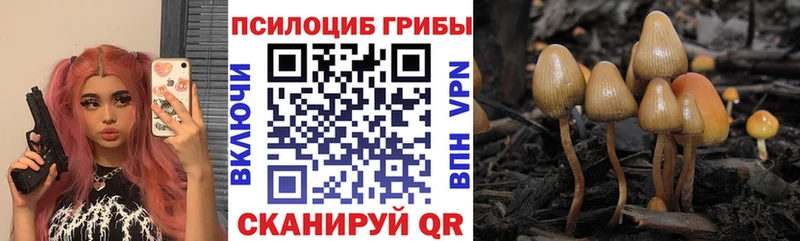 ОМГ ОМГ ТОР  Бронницы  Псилоцибиновые грибы GOLDEN TEACHER 